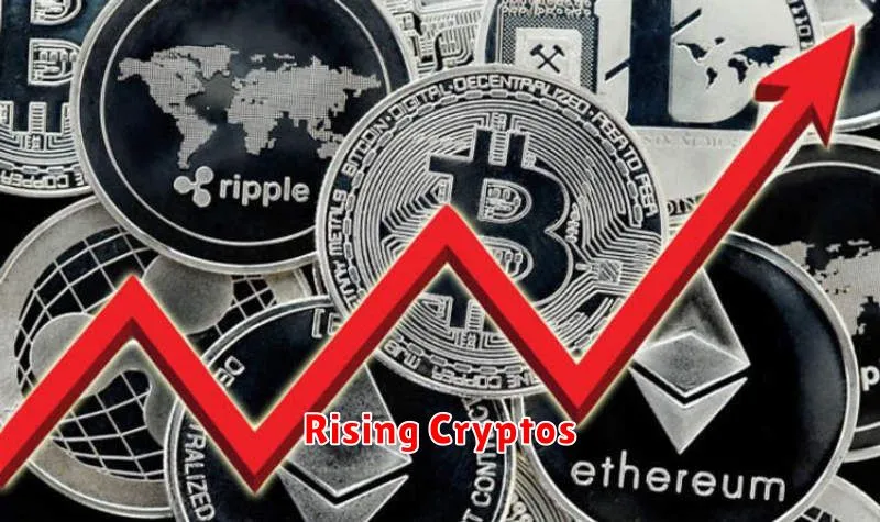 Rising Cryptos